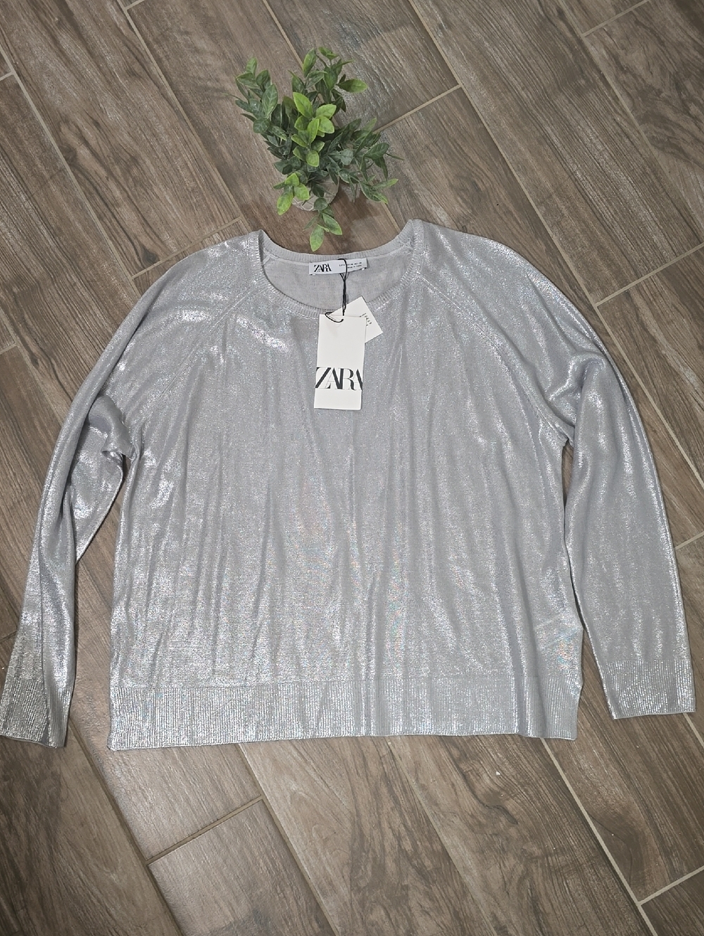 ZARA Silver Metallic Long-Sleeve Top